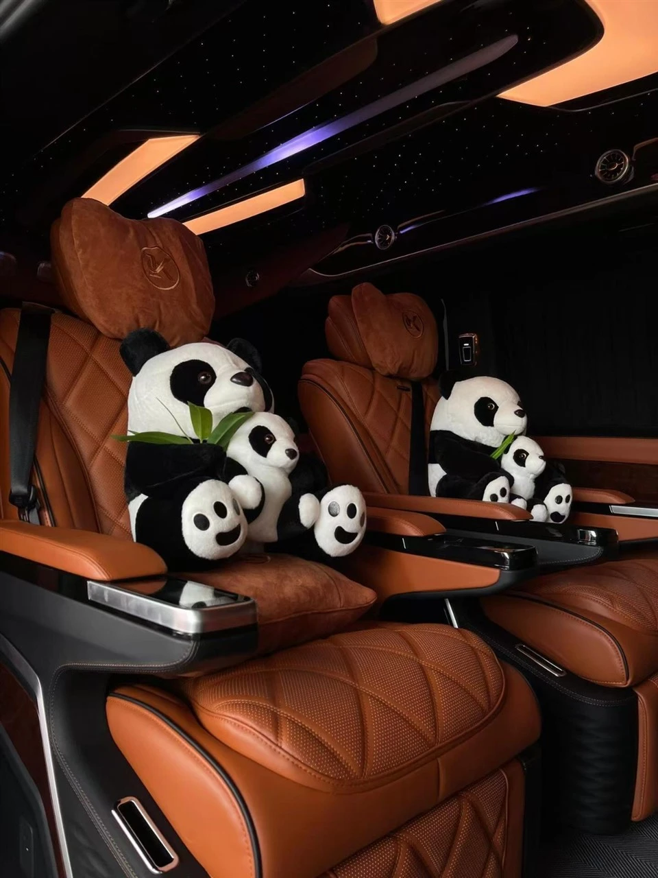Luksuzni kombi Sprinter Seat